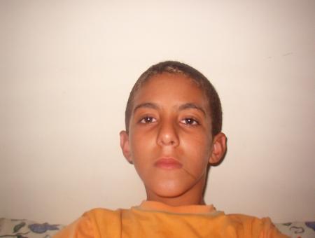 faez2006